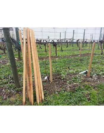 Piquets Tuteurs