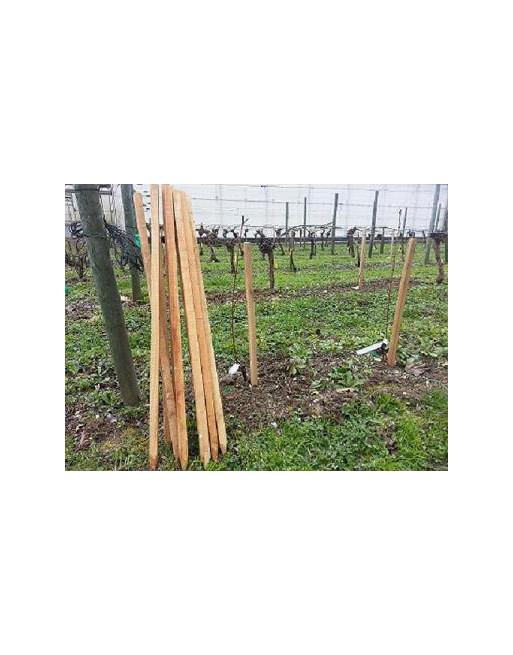 Piquets Tuteurs