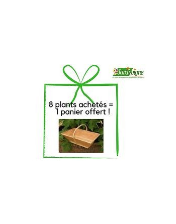 Panier 2kg offert ! pour l'achat de 8 plants ou plus