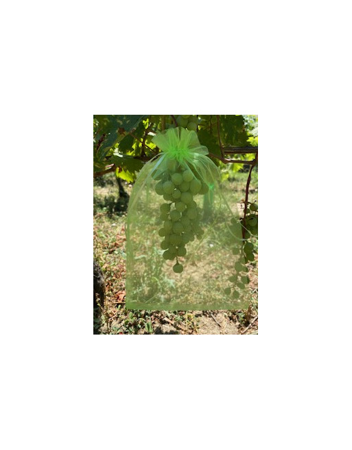 housse à fruits-vigne-jardivigne