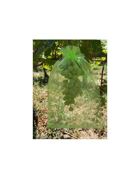 housse à fruits-vigne-jardivigne